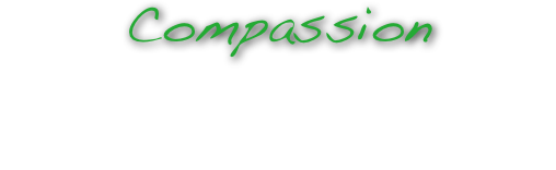 Compassion
Experiencing the universe through recognizing struggle of others. Experiencing sympathy and empathy. Movement of self-centeredness to awareness of universal family. Exploration of self by examining others’ differences.

