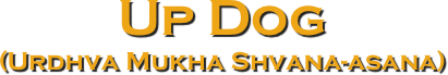 Up Dog
(Urdhva Mukha Shvana-asana)