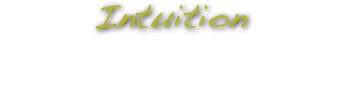 Intuition
 Inner knowing. Learning to listen on a deeper level. Following gut instinct, hunch, voice of knowingness. Stepping into the intuitive self in order to Spirit Walk.

