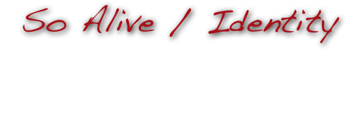 So Alive / Identity
Feeling at ease with one’s soul and one’s purpose. Awareness of individualized experience as necessary to the evolution of the whole. The experience of intrinsic value. Identifying with one’s part in Co-creating.

